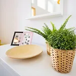 بيت للعطل Very - Sunny - Comfy بودابست